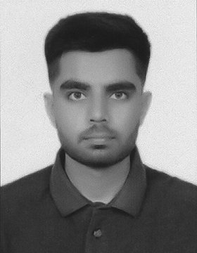Brijrajsinh S. Jhala